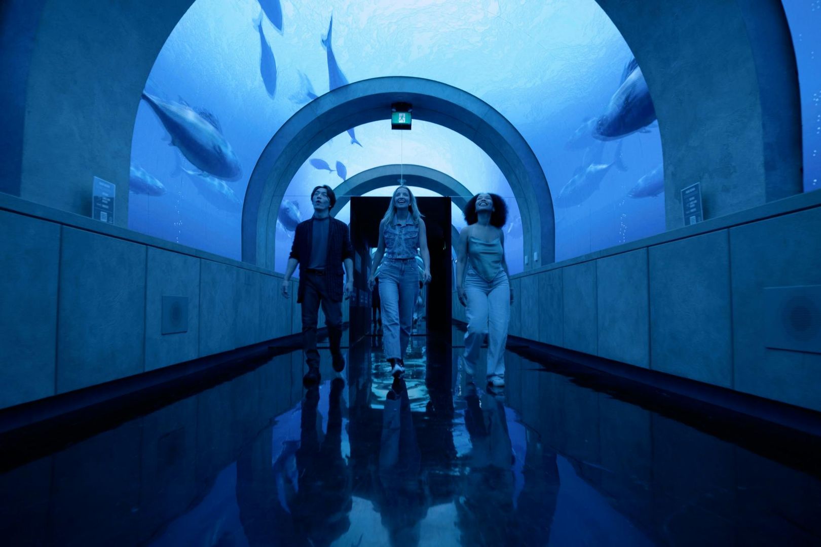 Аркадия-Эрт Торонто: входной билет в любое время