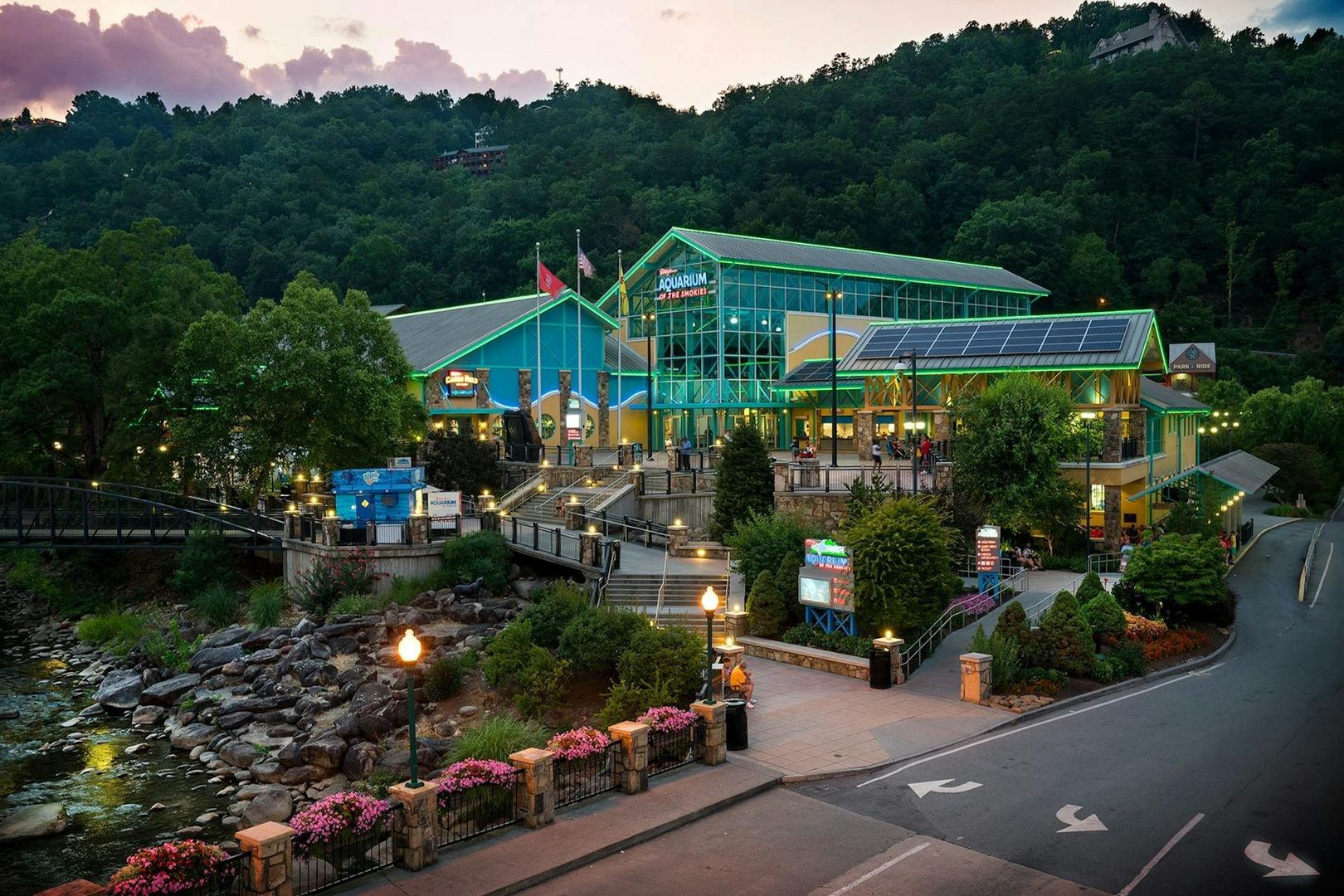 Аквариум Ripley 's Aquarium of the Smokies: Входной билет