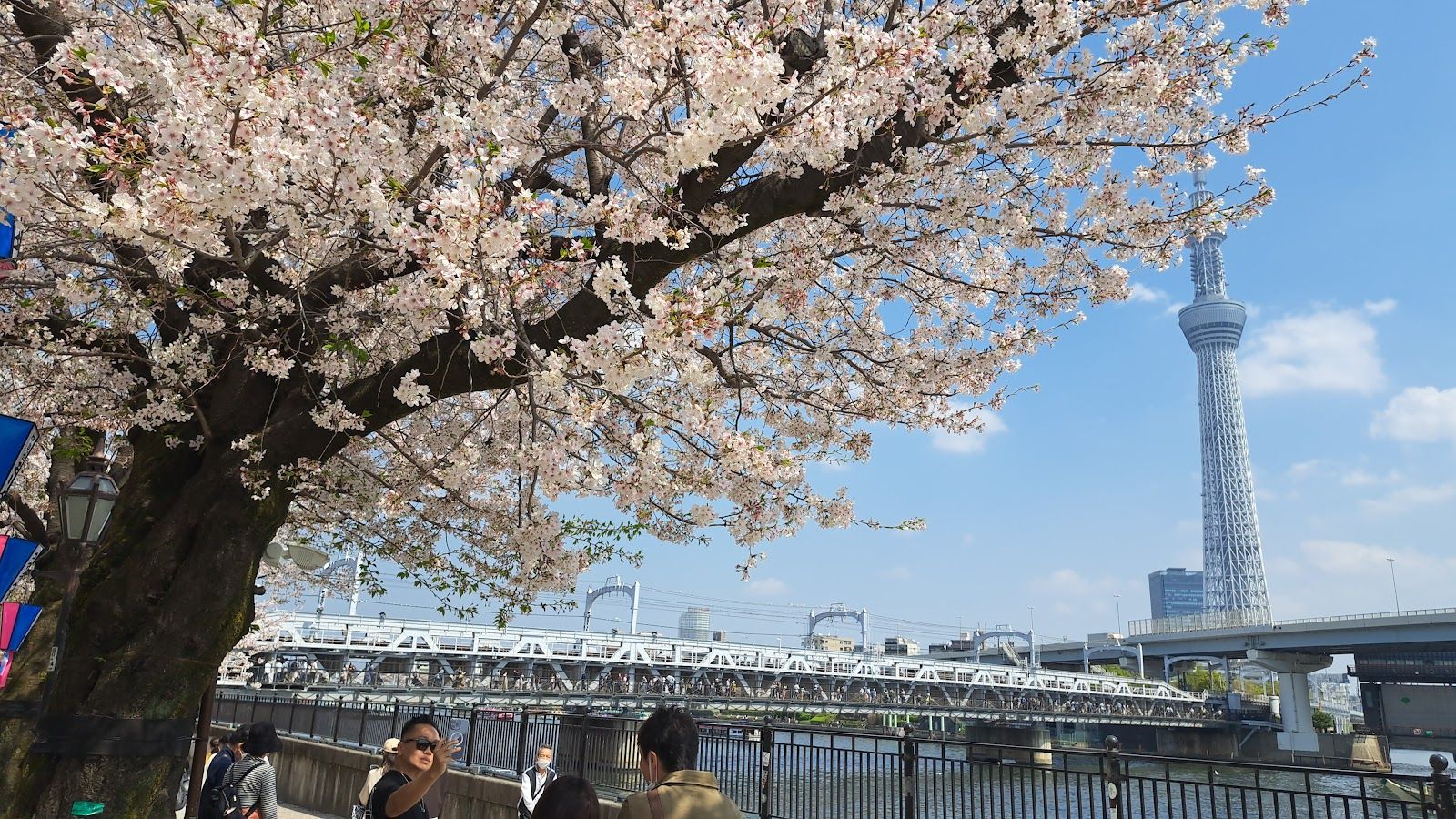 Tokyo: Self-Guided Audio Tour Through Tradition and Trend