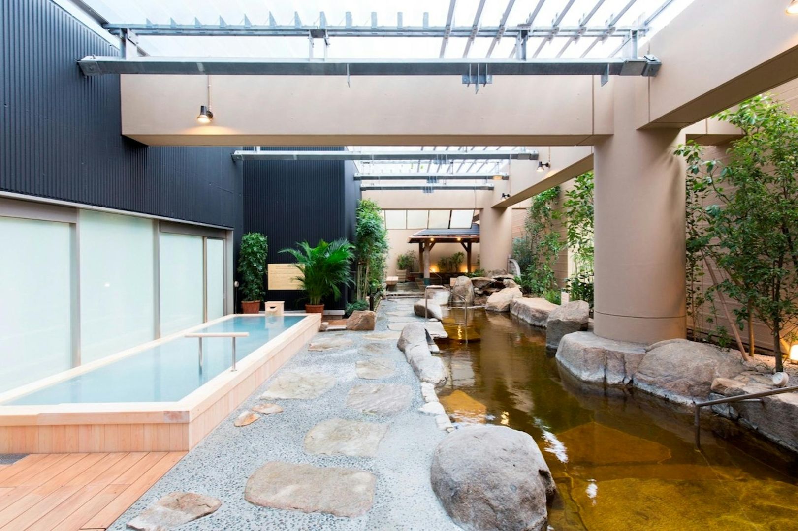Посещение Spa LaQua и билет на метро в Токио (24 часа)