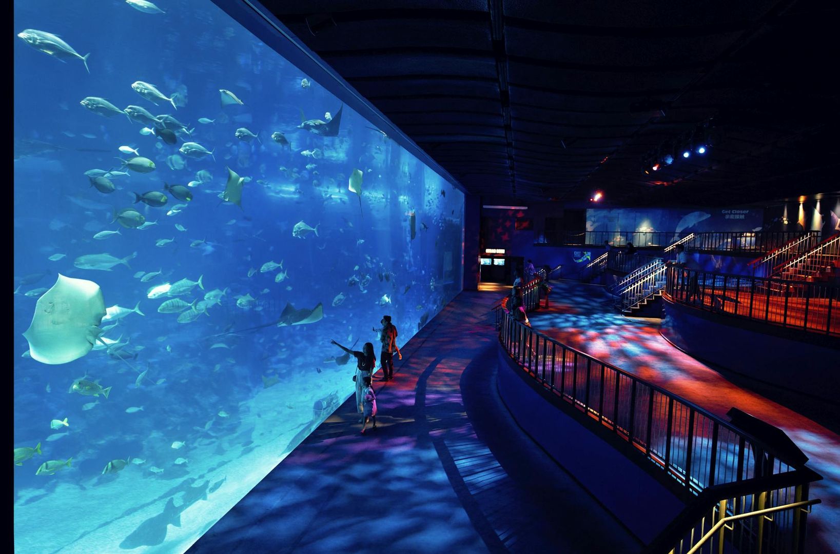 S.E.A. Aquarium™ Сингапур: Входной билет