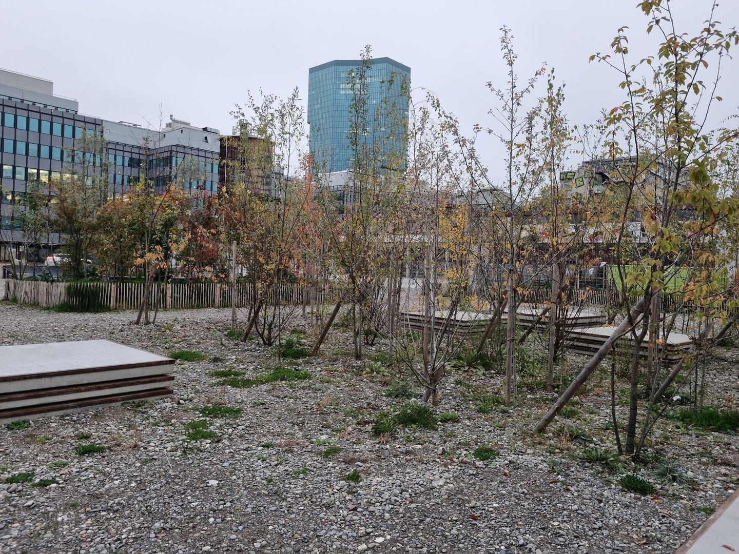 Zürich: Self-Guided Audio Walk Through the City’s Creative West episode artwork