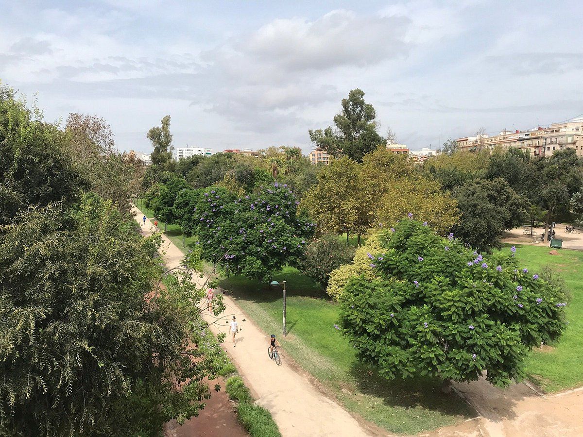 Valencia Cycling Adventure: A Tour of Culture, History, and City Highlights with Bike Rental - Photo 6