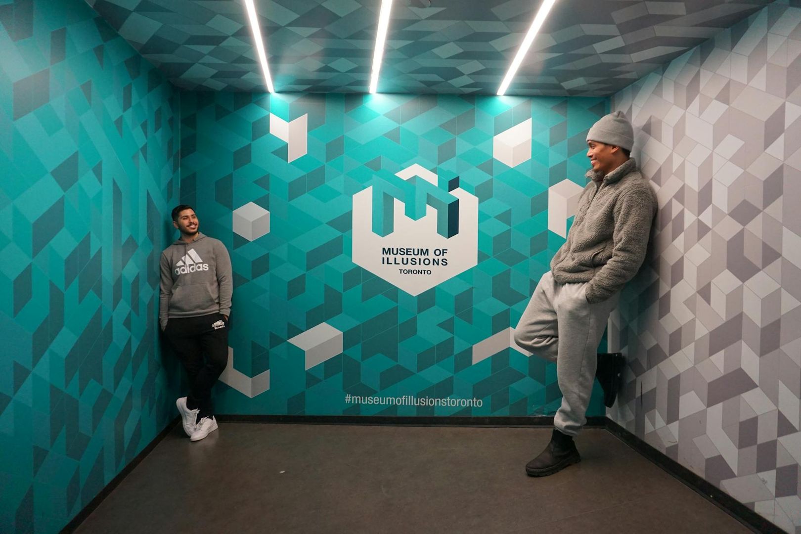 Музей иллюзий Торонто: Входной билет