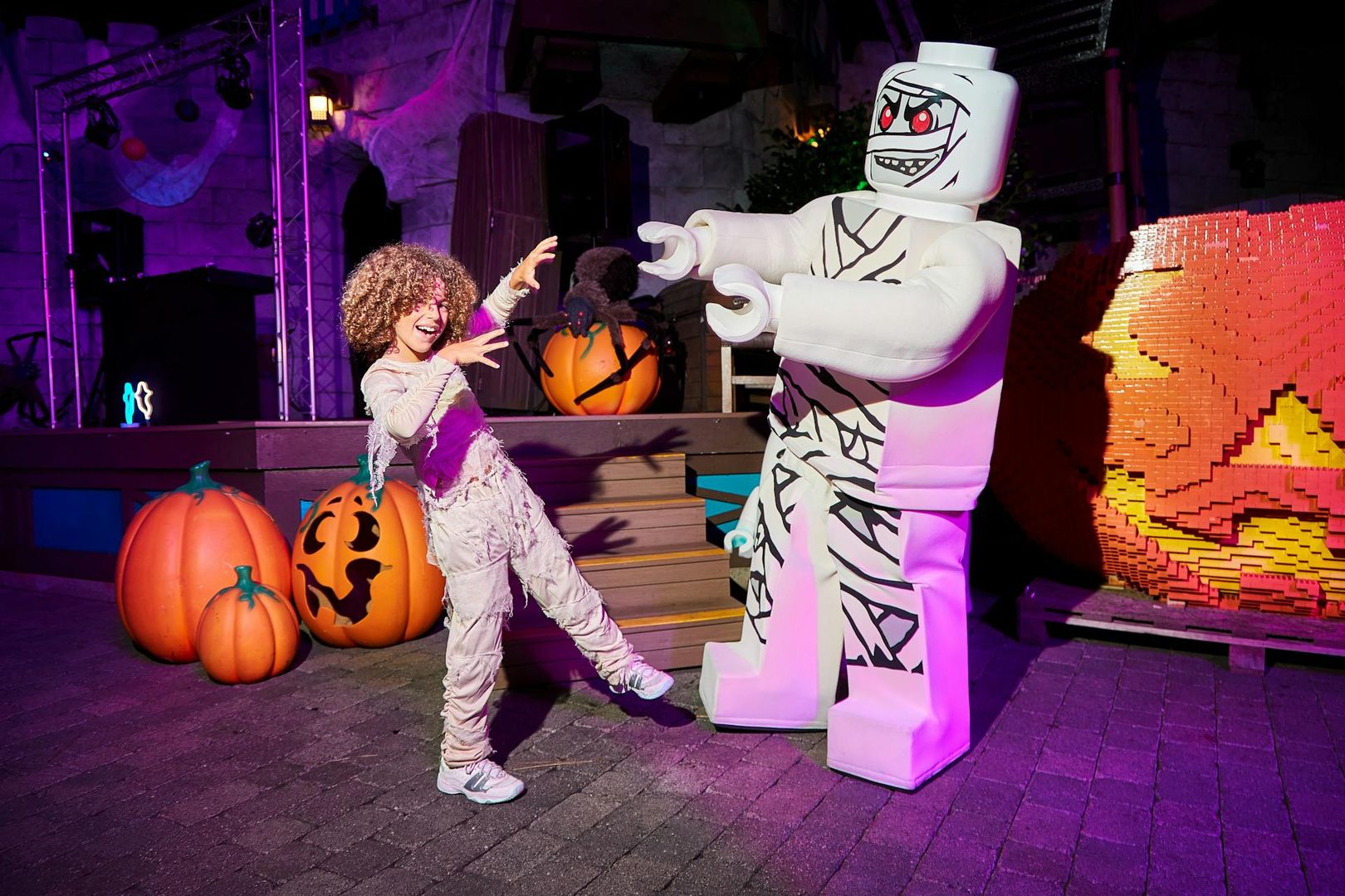 LEGOLAND® Discovery Centre, Чикаго: Входной билет