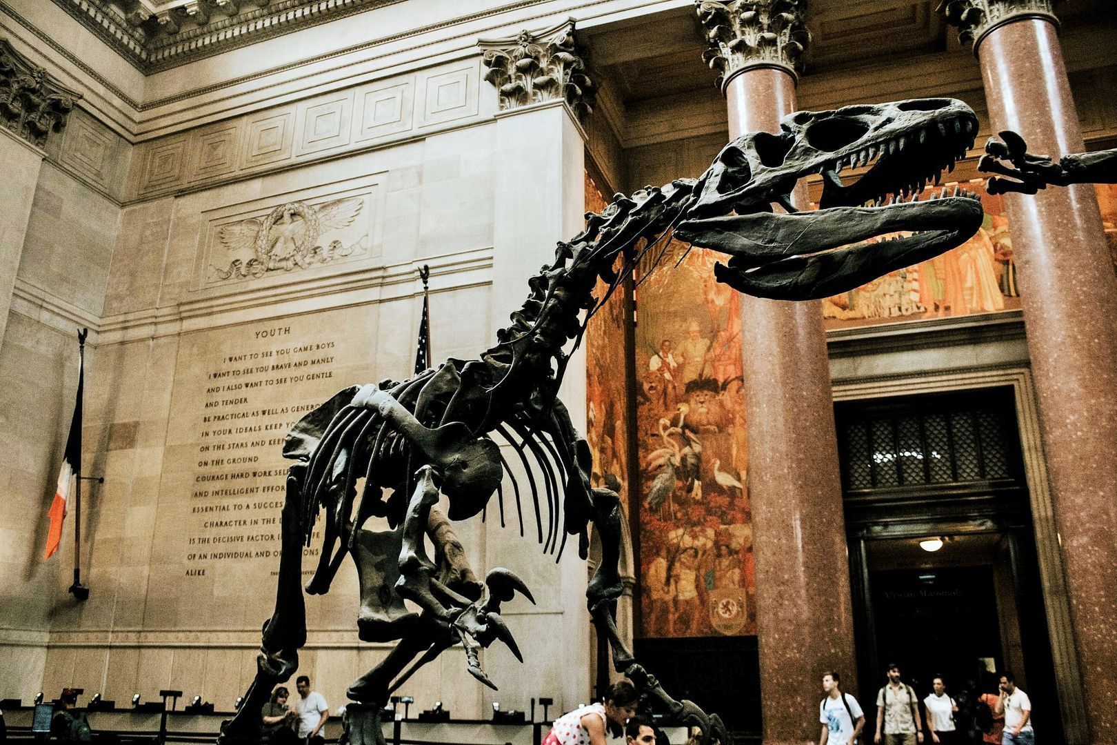 Musée américain d'histoire naturelle Ticket & In-App Audio Tour