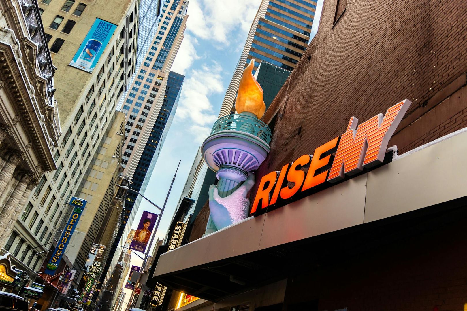 RiseNY: Входной билет