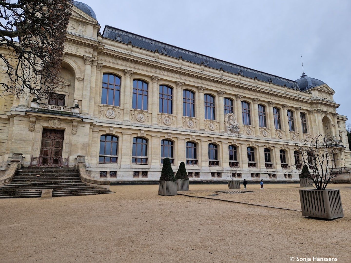 Paris: A Stroll Through Time with the Grande Galerie Ticket