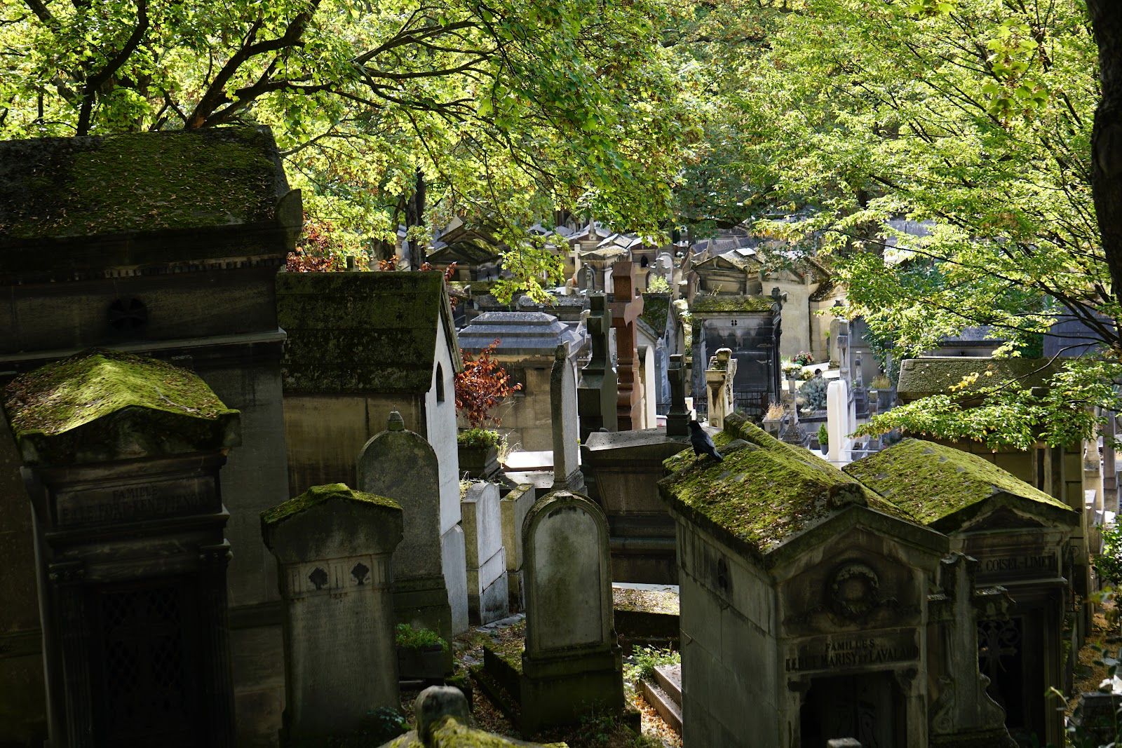 Uncover History With Père Lachaise In-App Audio Tour