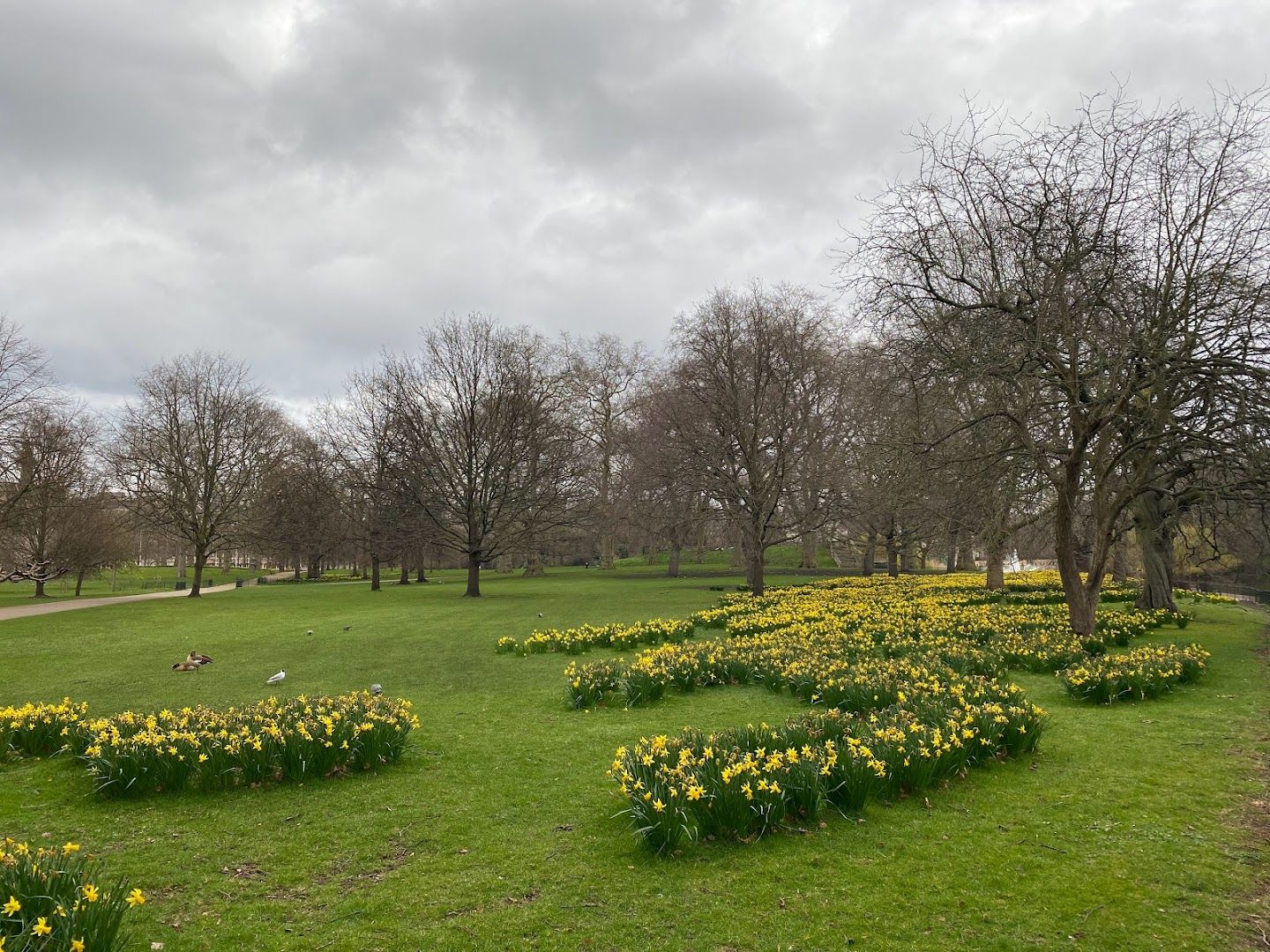 Explore Westminster's WW2 Secrets: In-App Audio Tour