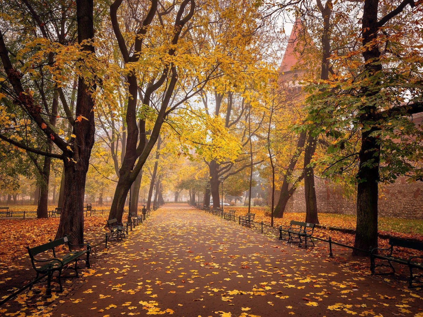 Explore Krakow's Heart: A Self-Guided Audio Tour