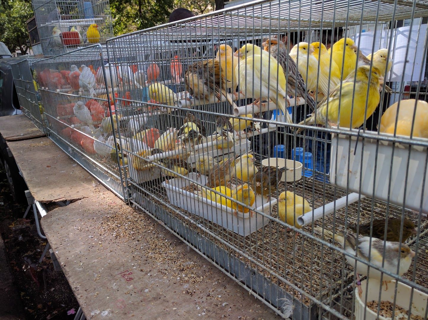 Uncover Secrets with the Paris Treasures In-App Audio Tour