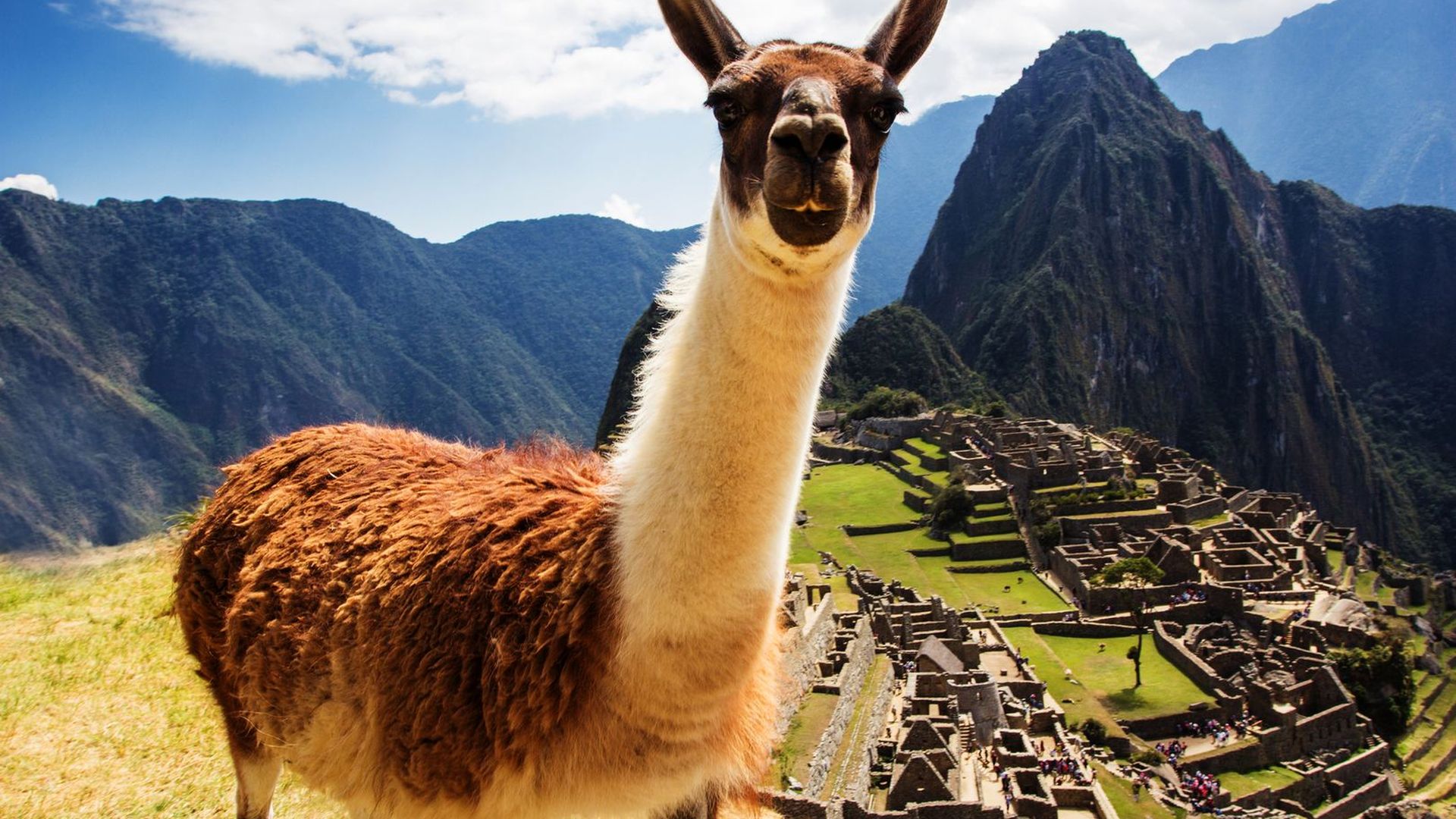 Cusco: Machu Picchu Audio Tour